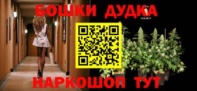 спиды Шахты